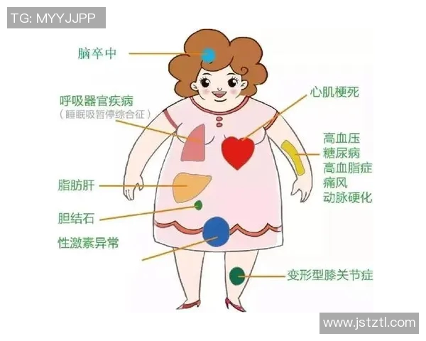 打造个人运动计划提升健康与生活质量的全方位指南