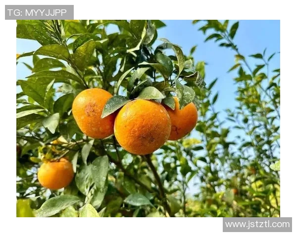 果园里的四季变换：从春花到秋实的自然奇观与农耕智慧