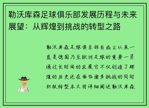 勒沃库森足球俱乐部发展历程与未来展望：从辉煌到挑战的转型之路