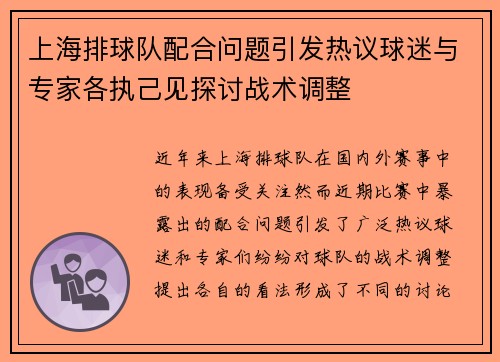 上海排球队配合问题引发热议球迷与专家各执己见探讨战术调整